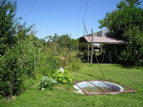 Quinta Con Pileta Y Parrilla Amplio Terreno En Viña Arrecifes