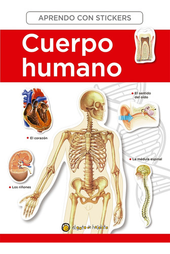 El Cuerpo Humano - Aprendo Con Stickers