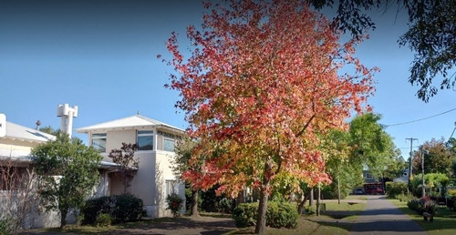 Imagen 7 de 10 de Terreno Lote En Venta En Fincas De Maschwitz, Ing. Maschwitz, Escobar