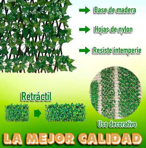 Imagen 3 de 7 de Follaje Expandible Flor Greenoutlet Decoracion Hogar C-6003