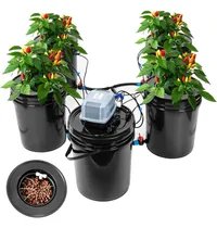 Comprar Sistema De Cultivo Hidropónico De 5 Galones