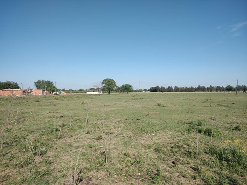 Imagen 9 de 17 de Campo - Timbues Jose Maria