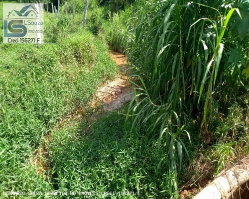 Imagem 7 de 15 de Terreno Para Venda Em Pinhalzinho, Zona Rural - 733_2-1186097