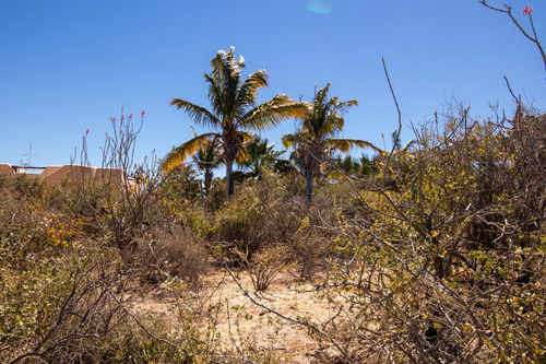 Top Corredor Isla Cerralvo, Geronimo Gated Beach Access