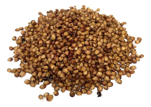 Sorgo Forrageiro Gigante Santa Elisa 1kg De Sementes