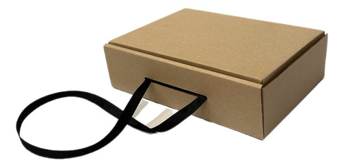 Cajas De Cartón Packaging 20x15x5 Tapa Autoarmable X25u Prem