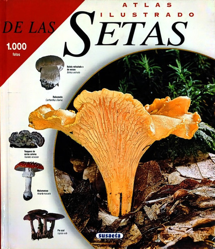 Atlas Ilustrado De Las Setas
