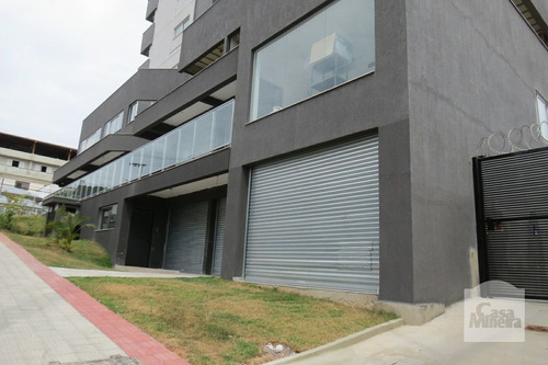 Imagem 7 de 7 de Loja À Venda No Cachoeirinha - Código 316015 - 316015