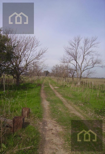 Imagen 6 de 15 de Campo Premium Para Country - Barrio Privado