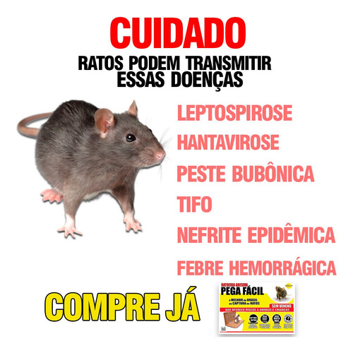Ratoeira Adesiva De Papel Cola Armadilha Rato Colly 10 Unid
