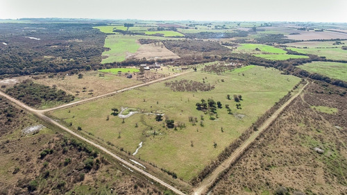 Imagen 5 de 12 de Chacras Venta Nueva Palmira Sobre Arroyo Navegable