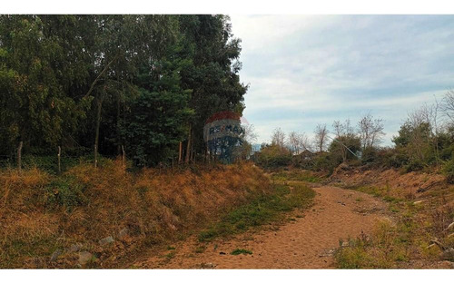Terreno En Colchagua