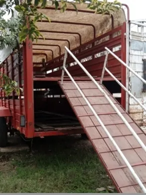 Doble Eje Balancín, Doble Piso, Cerdo,hacien....con Lona