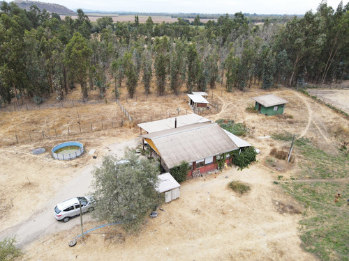 Vendo Parcela, 15.000 Mtrs.2, A Orilla De Camino Principal
