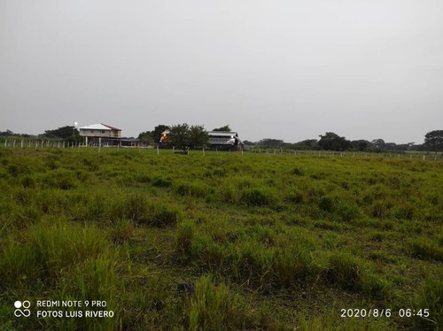 Imagen 9 de 14 de Finca En Venta En Apure