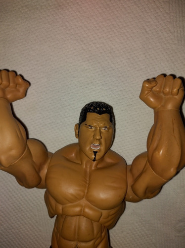 Luchador Batista De La Wwe (Usado)