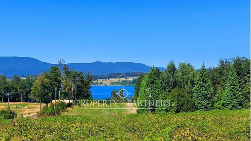 ¡oportunidad! Parcela Acceso  Lago Panguipulli