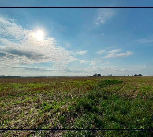 Imagen 5 de 6 de Venta Campo 51 Ha Papero