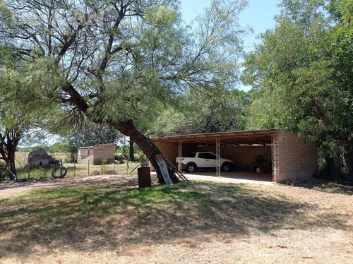 Imagen 9 de 27 de Campo - Punta De Agua