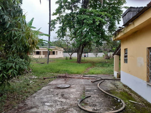 Imagem 19 de 30 de Chácara Em Parque Capivari, Duque De Caxias/rj De 3000m² 4 Quartos À Venda Por R$ 390.000,00 - Ch684259-s