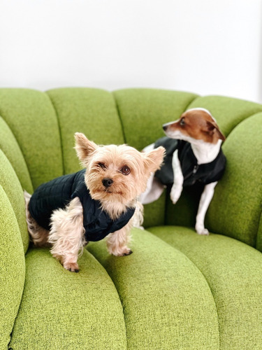 Imagen 3 de 4 de Chaleco Denim Para Perro Xs Con Aplique