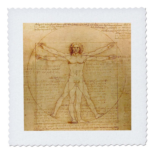 3drose Qs__3 Hombre Vitruvio Leonardo Da Vinci 1490-arte Y 8