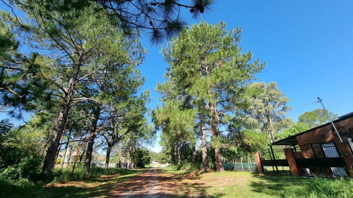 Imagen 4 de 6 de Venta De Terreno En Arroyo Leyes