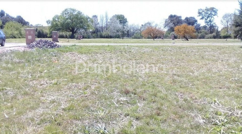 Imagen 6 de 13 de Terreno Lote En Venta Ubicado En Solar De Alvarez (francisco Alvarez), Moreno