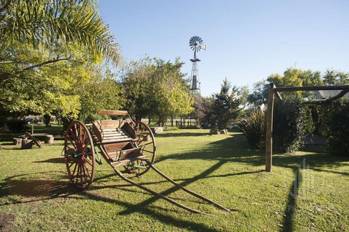 Imagen 18 de 25 de Emprendimiento Gastronomico Espacios Al Aire Libre ( Exclusivo Empresas )