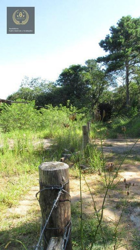 Imagem 7 de 12 de Terreno Residencial À Venda, Centro, Viamão. - Te0048