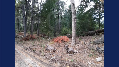 Imagen 13 de 26 de Venta Lote/terreno De 4955.50 M2 Cauquen 100 Altos De Manzano Villa La Angostura