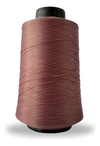 Linha Para Overlock 100g 100% Poliester (tex18) Linhanyl Cor 1093