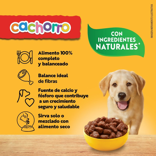 Imagen 6 de 8 de Pedigree Alimento Húmedo Cachorros Res En Filetes 10 Sobres
