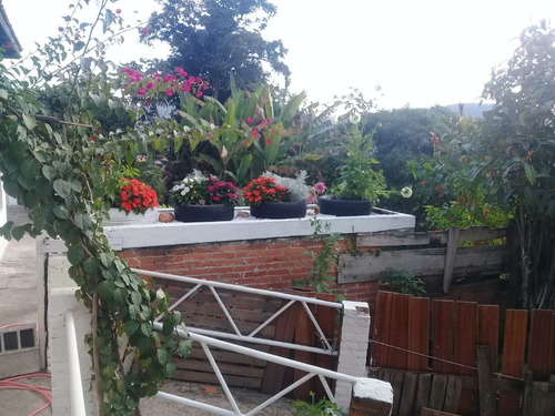 Imagem 13 de 28 de Sítio À Venda, 5 Quartos, 2 Suítes, 4 Vagas, Centro - São Roque/sp - 2308