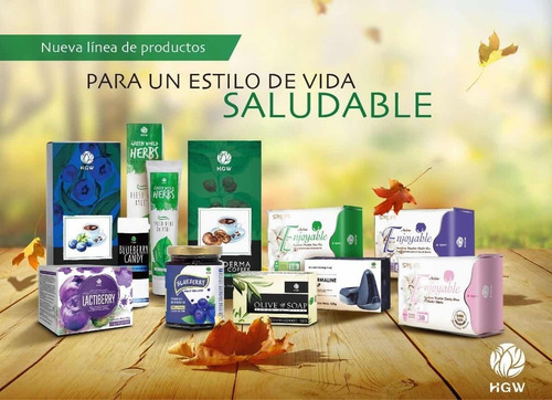 Bebida Instantanea De Proteinas Arandano Azul Blueberry Hgw