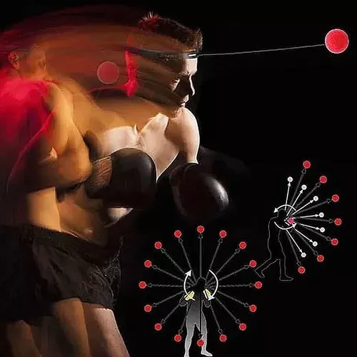 Pelota Vincha Boxeo Reflejos Punching Ball Entrenamiento