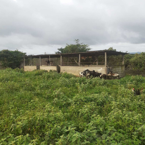 Imagen 4 de 26 de Finca En Venta Vía Cordero El Cuji Ksanchez