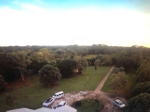 Imagen 10 de 14 de ( Hacienda De 1300 Tareas) Ganadera Los Llanos