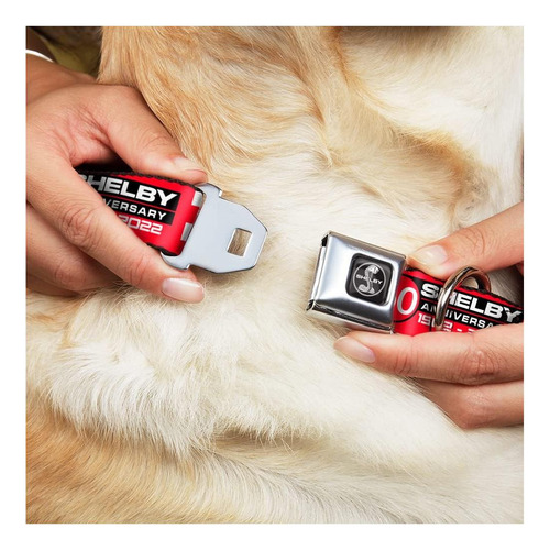 Collar De Perro Con Hebilla Para Cinturón De Seguridad 60 A