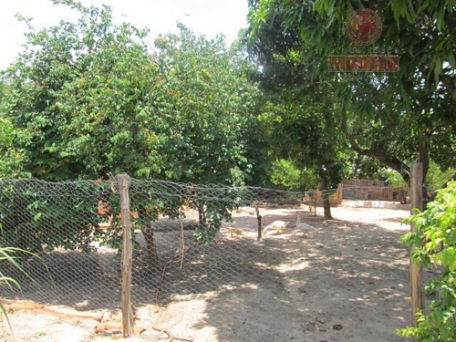 Imagem 17 de 24 de Chácara Residencial À Venda, Formigueiro L, Saltinho. - Ch0008