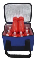 Comprar Canasto Termico  Azul + 12 Caramañolas + Gel Refrig. Oferta!