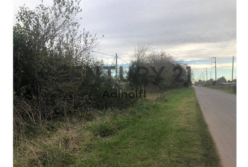 Imagen 4 de 4 de 515 E/ 215 Y 220 - Fracción De Terreno A La Venta