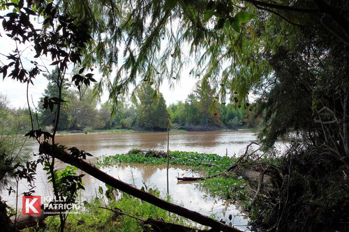 Venta De Fracción Con Costa Sobre Rio Paranacito