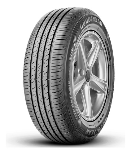 Pneu Goodyear Efficientgrip Performance 245/45 R19 102v