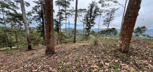 Lote En Venta Ubicado En El Retiro Sector Don Diego (26671).