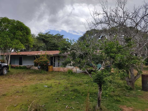 Se Vende Finca En Aribi, Via Al Sur De Monagas Ve02-554vs-dced