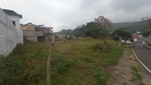 Imagen 3 de 6 de En Venta Terreno En La Entrada De Peribeca