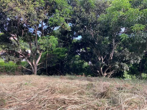Lote Anapoima Conjunto Cerrado