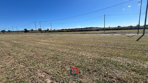 Lote En Docta Central
