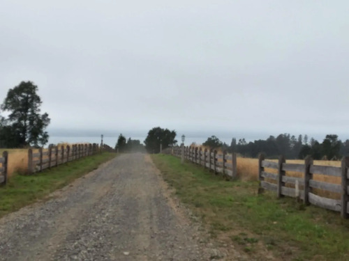 Parcela En Condominio 5000 Mt2